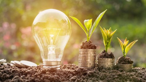 Symbolbilder für nachhaltige Ideen – mit Lampe, Geldstapeln und Pflanzen